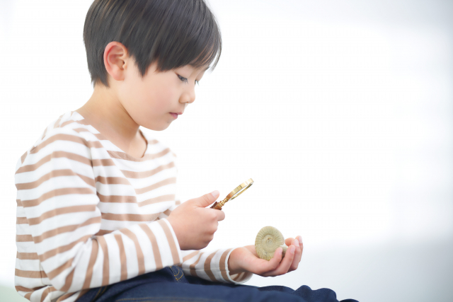 子どもが好きなことに取り組む様子の写真